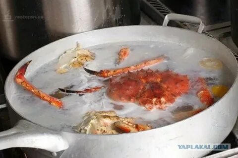 Как варить вареного краба