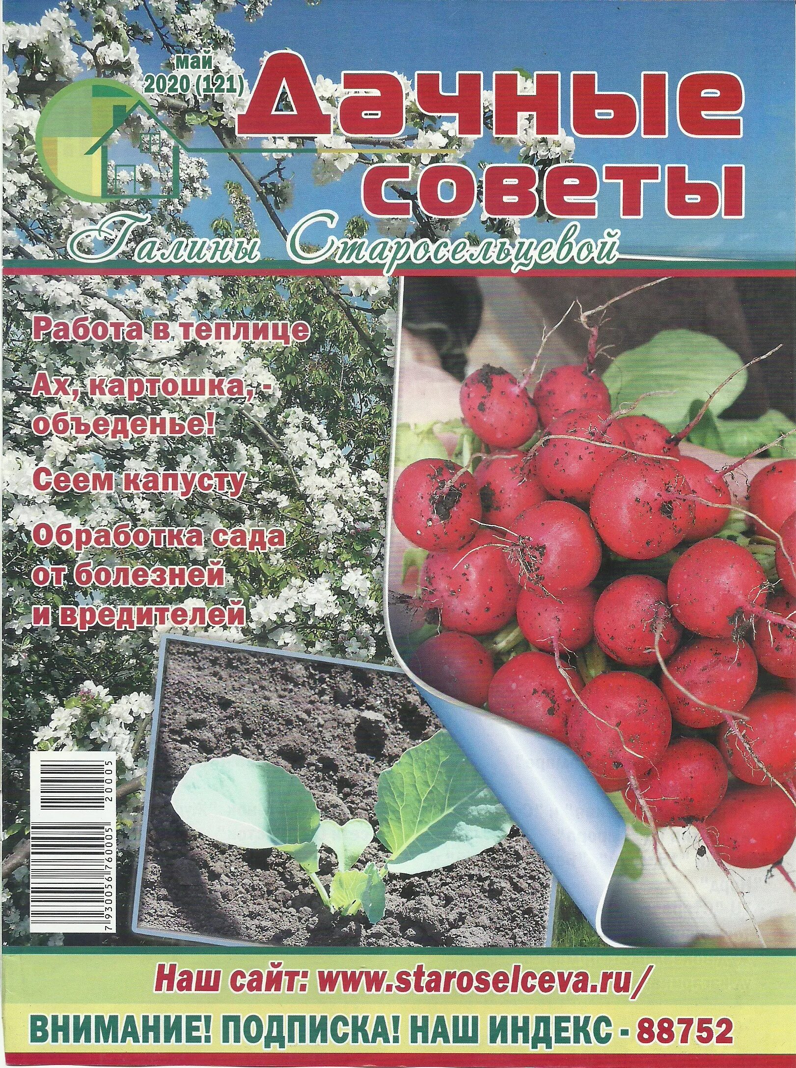 дачные советы с галиной. дачные советы в картинках. дачные советы с галиной. дачные советы. дачные советы с галиной.