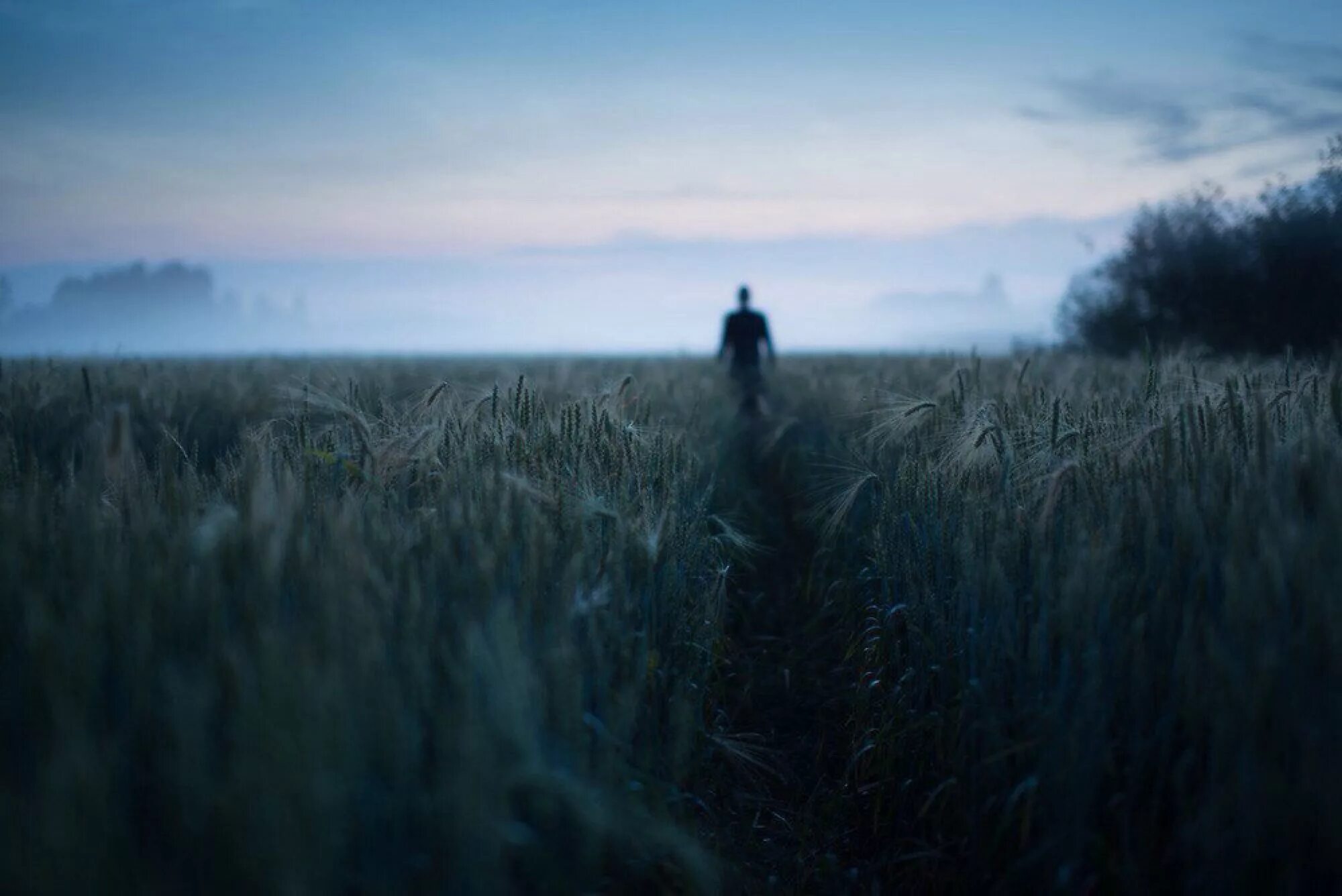 Разглядеть вдали. Финский фотограф Микко Лагерстедт. Один человек в поле. Поле вдали. Поле в тумане.
