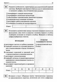 Контрольная работа нервная система 8 класс биология