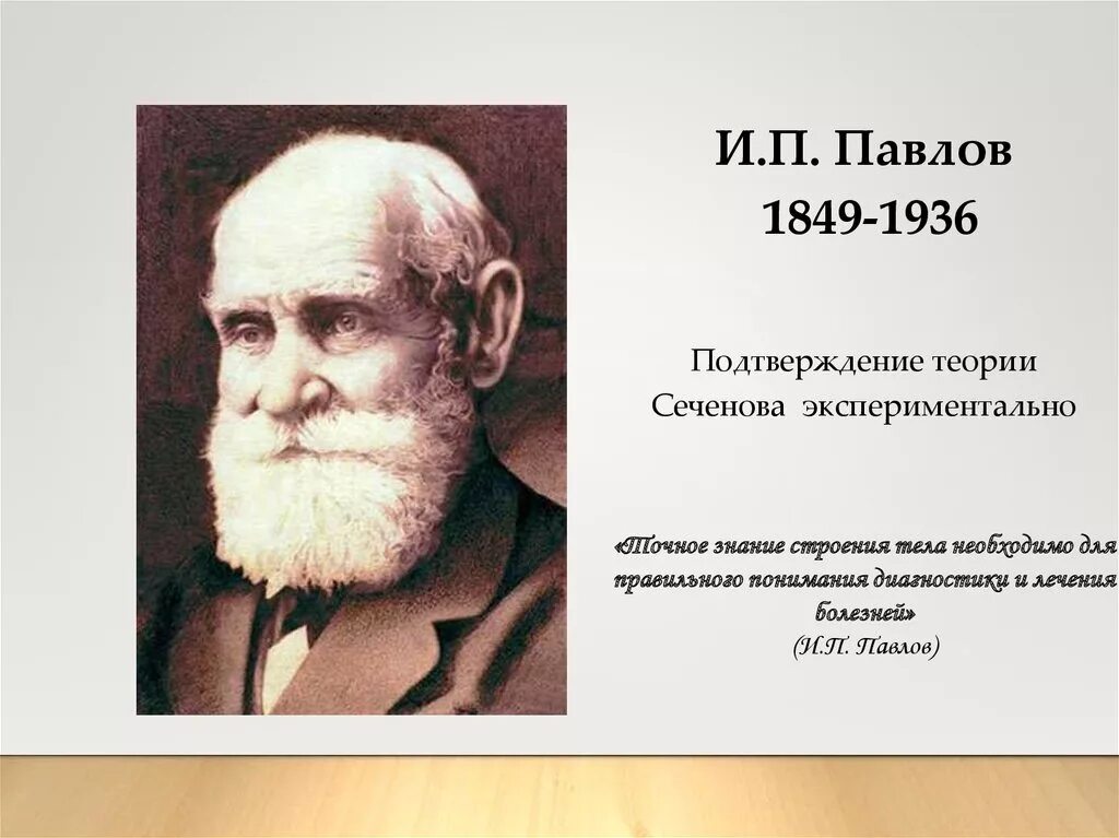 Открытия и п павлова. Павлов и.п. (1849-1936). Павлов 1849.