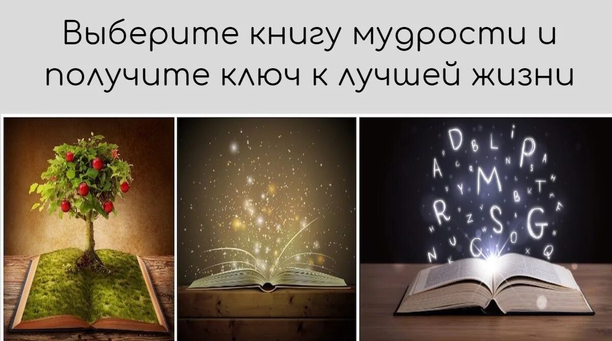 Книга мудрости. Мудрая книга. Мудрец с книгой. Книга источник знаний.