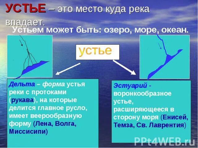 Что называется устьем реки. Устье дельта и эстуарий. устье реки дельта эстуарий и губа. устье реки это. устье реки дельта.