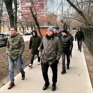 Новости сокола
