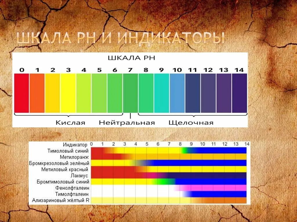 Шкала PH для лакмусовой бумаги. Шкала индикаторной бумаги лакмусовой. Индикаторная шкала PH на лакмусе. Универсальная индикаторная бумага РН шкала.