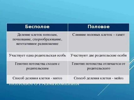 Зоны деления половых клеток