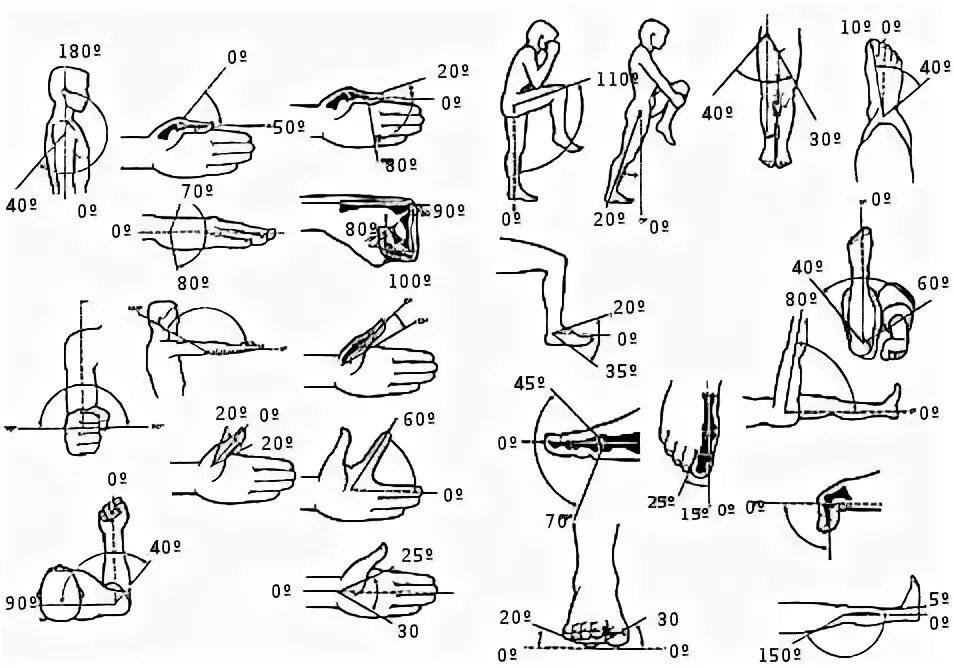 Максимальные движения суставов. Объем движений в коленном суставе. Объем движений в коленном суставе в норме. Измерение амплитуды движений в коленном суставе. Таблица амплитуды движений в суставах.