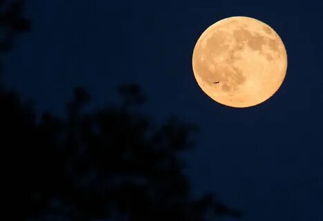 Moon today