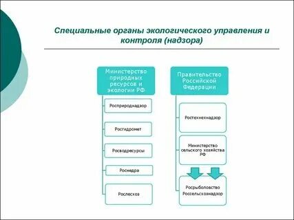 Органы природоохранной деятельности