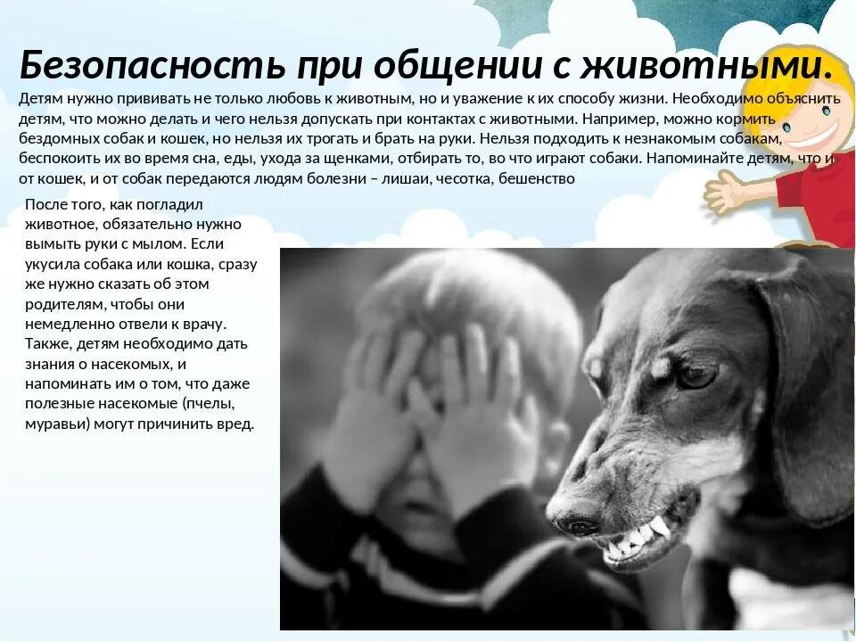 Почему нельзя собак в исламе. Безопасность детей с животными. правила безопасности при общении с животными. безопасность при общении с животными детям. правила безопасности при общении с собаками.