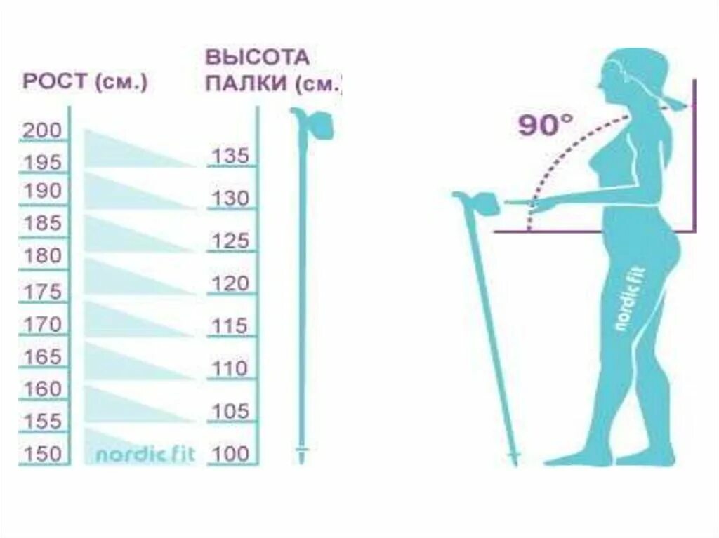 Какой длины палки для скандинавской ходьбы. Палки для скандинавской ходьбы Размеры. Ростовка палок для скандинавской ходьбы таблица. Размер палок для скандинавской ходьбы на рост 160. Таблица подбора палок для скандинавской ходьбы.