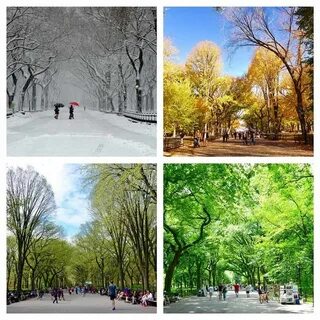 Времена года адрес