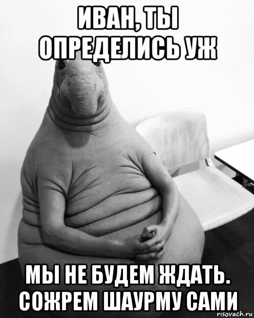 Ждать следующего года