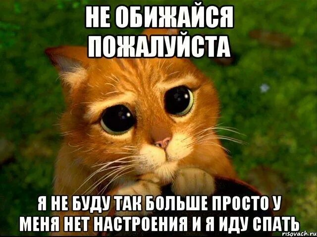 Включи ой забыли. Включи ой забыли. Жизнь хороша. Ой забыла картинки. Смешные кошки.