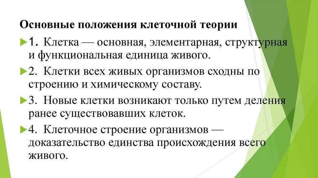 Основы положения клеточной теории. Основные положения теории клеточная теория. клеточная теория положения клеточной теории. основные положения клеточной теории с пояснениями. основнеы положения кле тточной т еории.