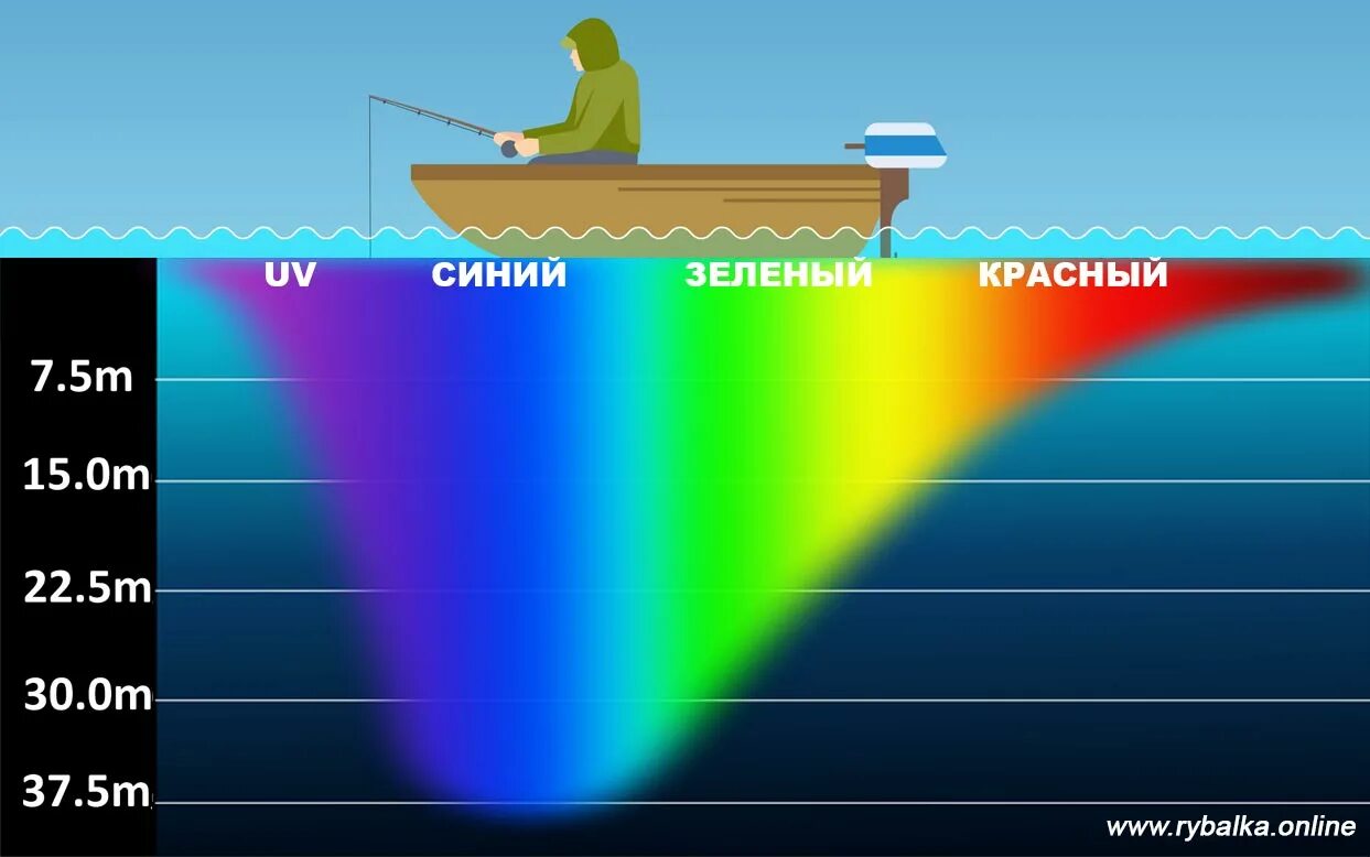 Как рыба видит в воде. Какие цвета видит рыба. спектр зрения рыбы. как видят рыбы. различает ли рыба цвета в воде.