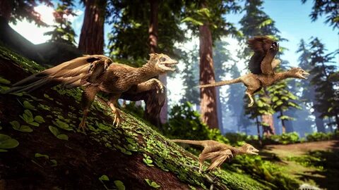 Natural evolved