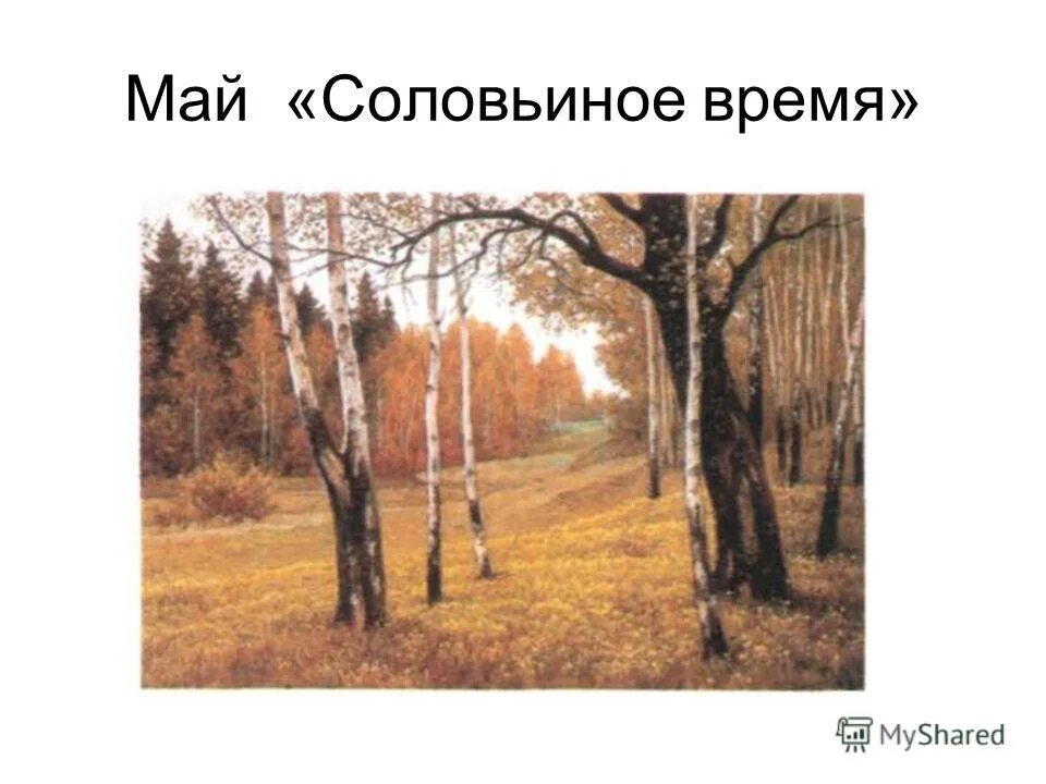 левитан май. грачи прилетели в березовую рощу. маленькие рассказы. рассказ про березу и грачей. грачи прилетели картина саврасова.