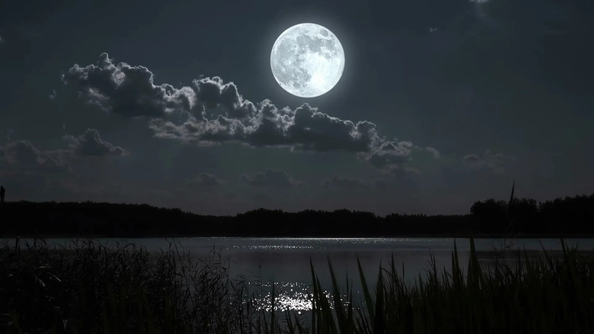 Летняя ночь. Луна фон. Ночное озеро. Комната в темноте. Темными ночами полностью.