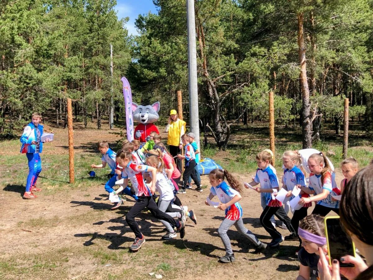 Магнитная стрелка дзержинск. Спортивное ориентирование. Соревнования по спортивному ориентированию. «Сибирский Азимут» соревнования по спортивному ориентированию. Ориентирование в городе.