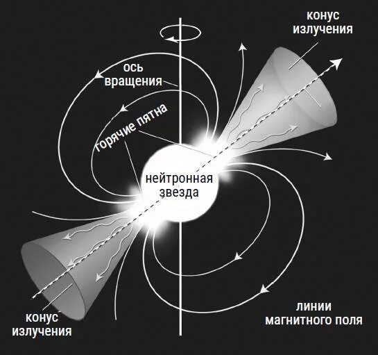 Модель пульсара. Пульсар схема. строение пульсара. из чего состоит пульсар. нейтронные звезды пульсары строение.