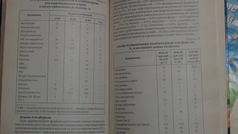 Рецепт кормы