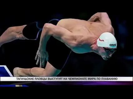 Выступление пловцов