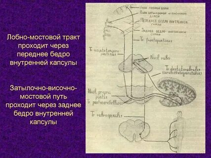 Мостовой путь