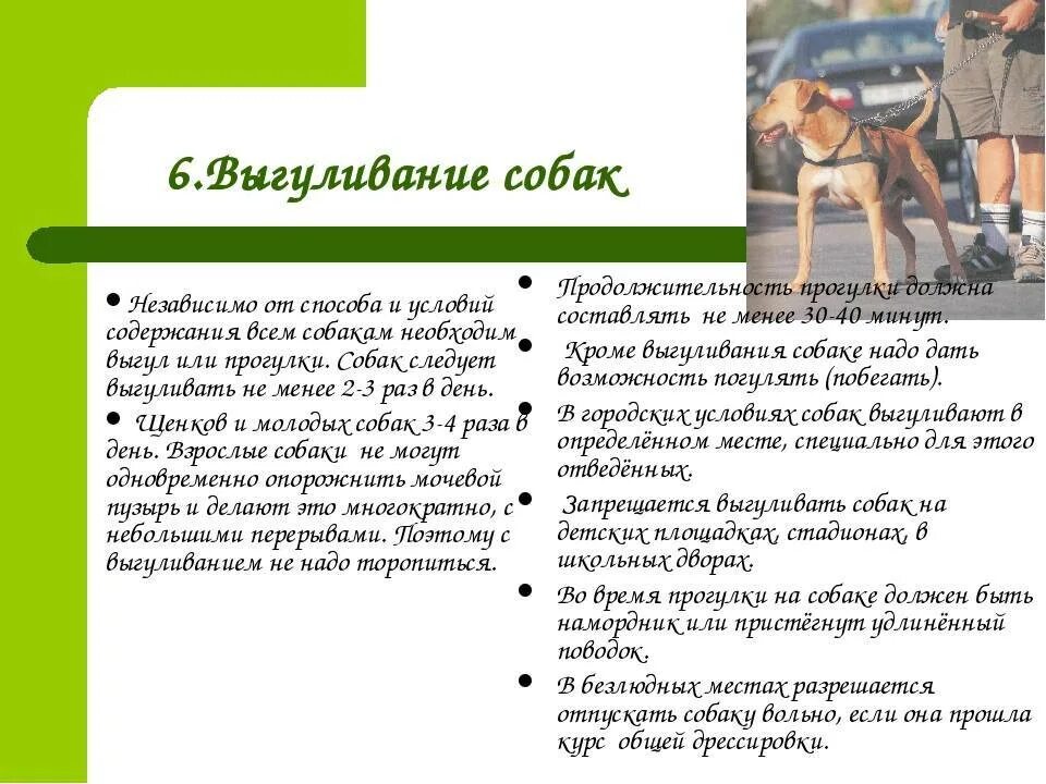 Длительность прогулок