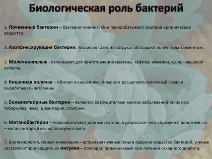 Роль почвенных бактерий гниения