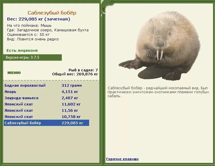 снегоболотоход газ-3409, бобр, характеристики. бобер или бобр. кратко о бобре. бобер образ жизни. информация о бобре.