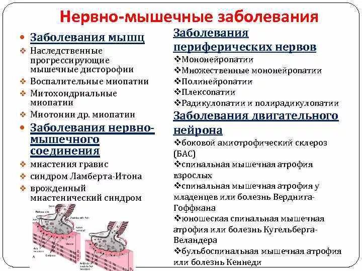 Нервно мышечные патологии. Классификация нервно-мышечных заболеваний. Классификация наследственных заболеваний нервно-мышечной системы.. Классификация нервно-мышечных заболеваний неврология. Наследственные нервно-мышечные заболевания неврология.