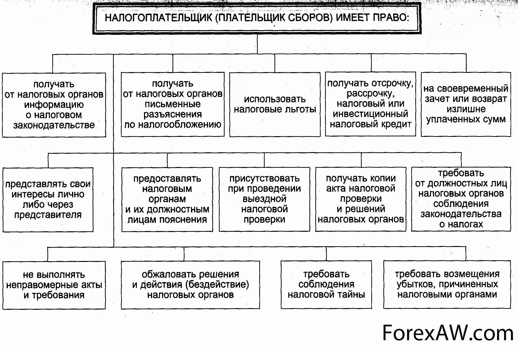 О налогах и сборах регулирует