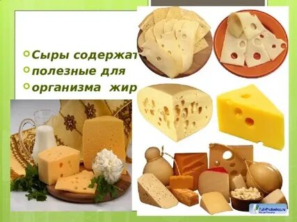 В сыре содержится белок