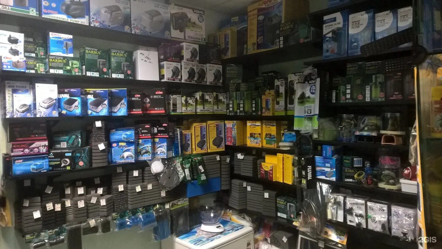 Аквариум в магазине продуктов. Магазин аквариумов в воронеже. Аквариум чита. Арована аквариумный магазин воронеж. Магазин для животных воронеж.
