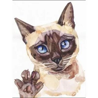 Cat ant