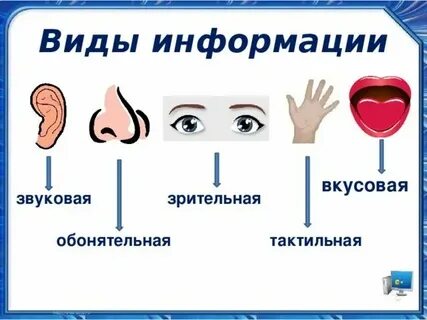 Какими фактами можно проиллюстрировать развитие