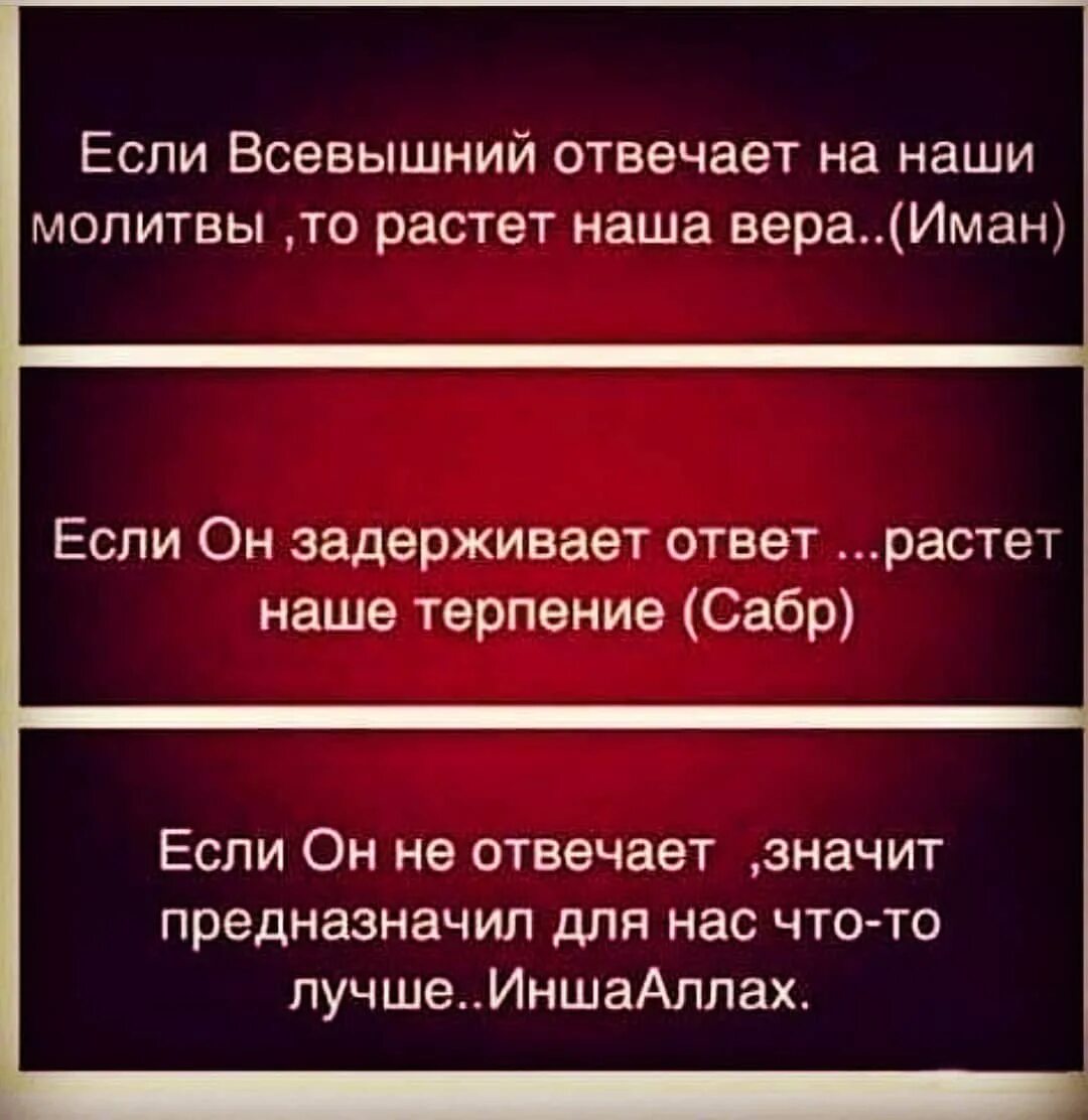 Ответ вырос. Мусульманские цитаты. Цитаты про Ислам. Афоризмы про Ислам. Цитаты про Всевышнего.