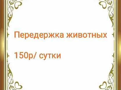 Передержка самара