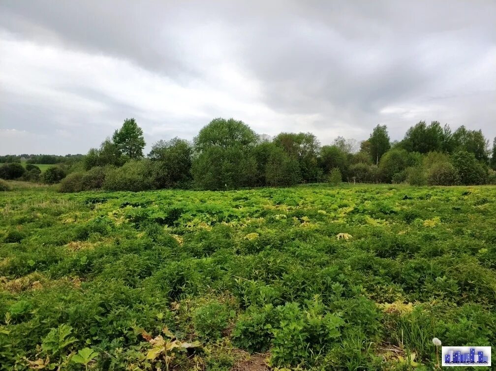 Коноково успенский район вид со спутника. Нечаевка в старая. Дер вишенки рузского района. Озеры каменка. Административная граница мишнево московской области.