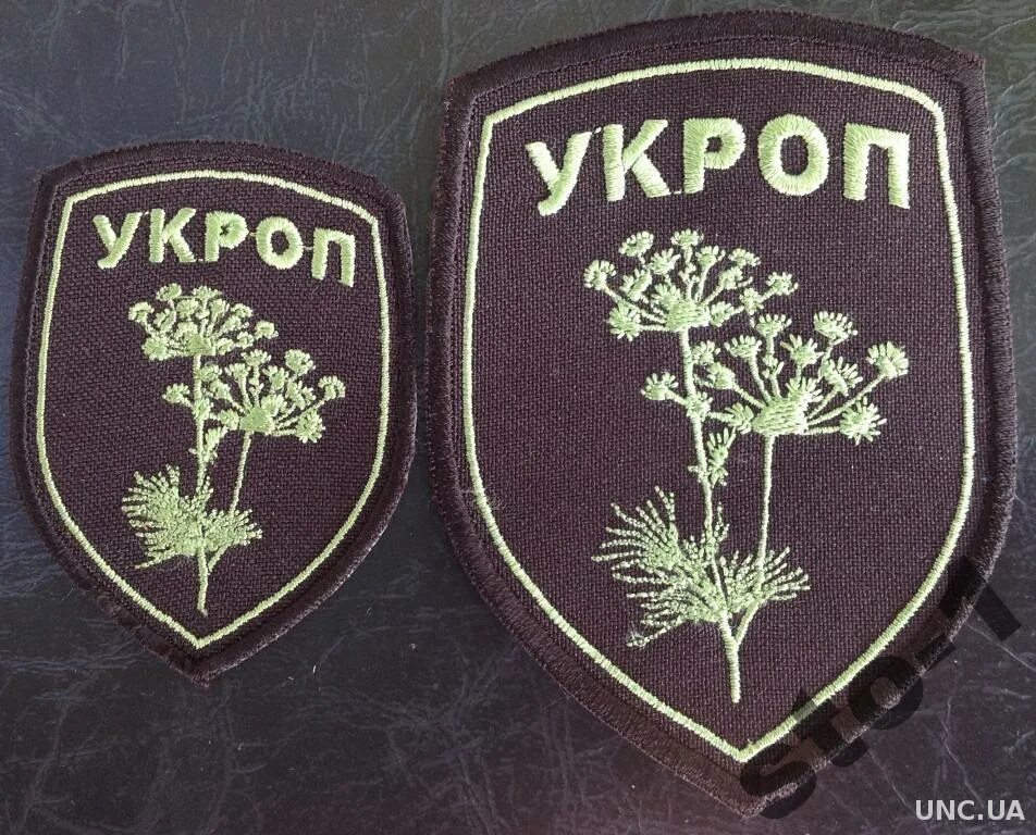 Косим укроп. Нашивка укроп. Нашивка кошу укроп. Шеврон укропчик. Кошу укроп Шеврон.