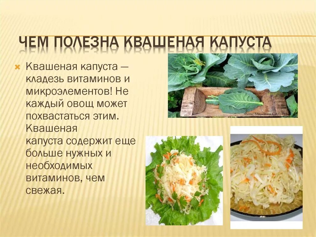 Капуста квашеная. Чем полезна квашеная капуста. Квашеная капуста для организма. Что полезного в квашеной капусте.