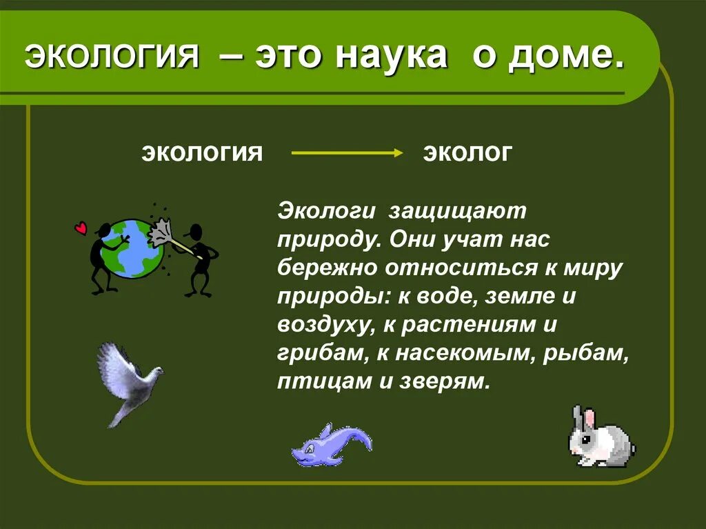 Значение слова экология. Экологические загадки. Загадки про экологию. Загадки про экологию для дошкольников. Интересные вопросы по экологии.