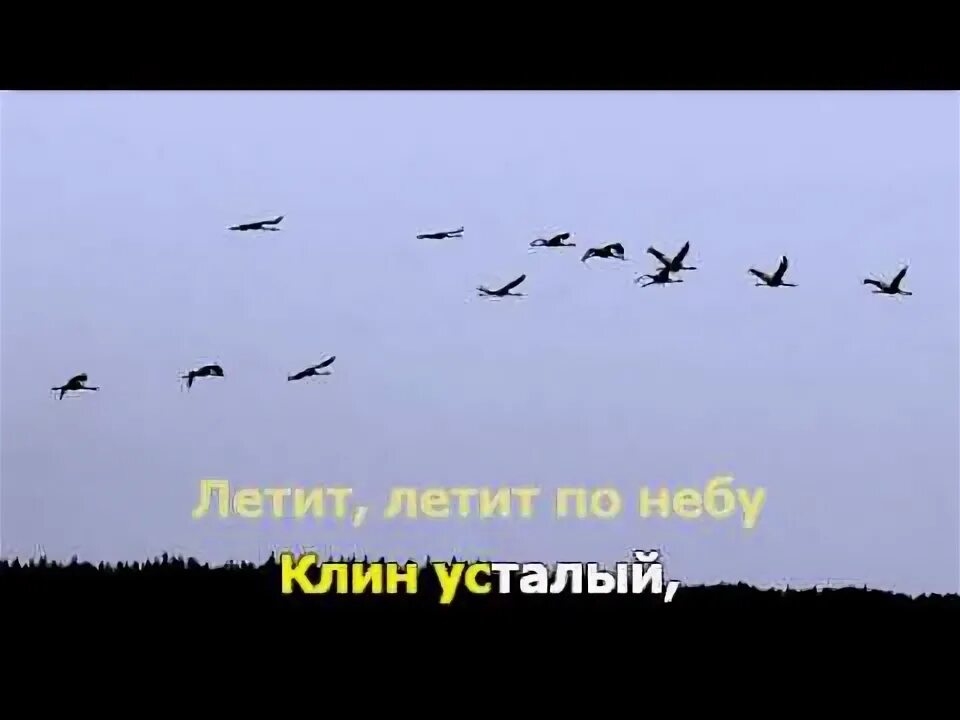 Журавли караоке. Журавли вернулись. Караоке песни Журавли. Песня Журавли караоке.