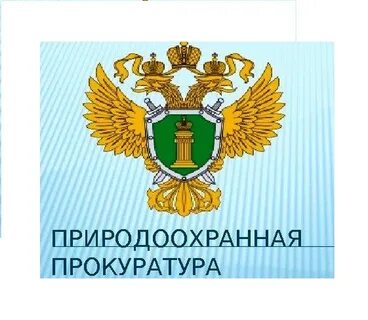 Природоохранная деятельность органов прокуратуры