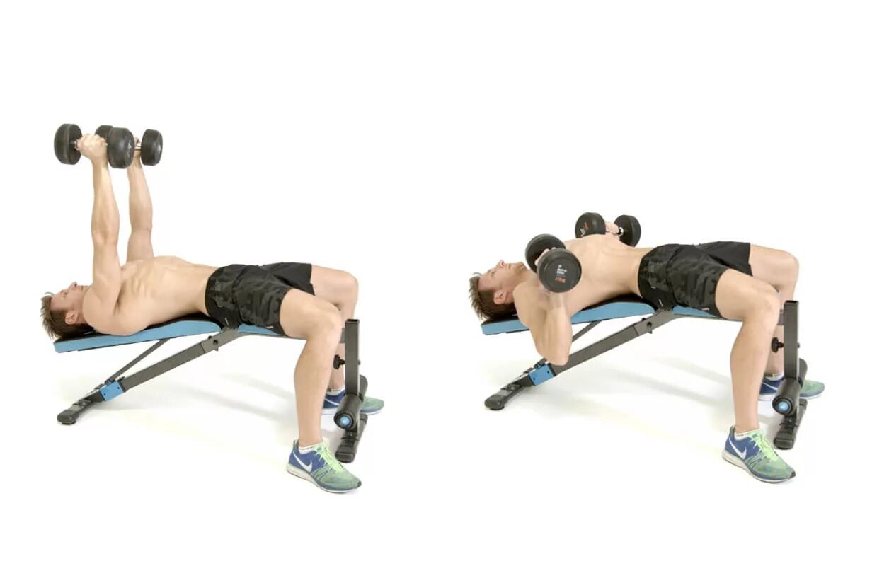 Db press. Decline dumbbell bench press. dumbbell decline bench. incline dumbell bench. dumbbell incline press bench back.
