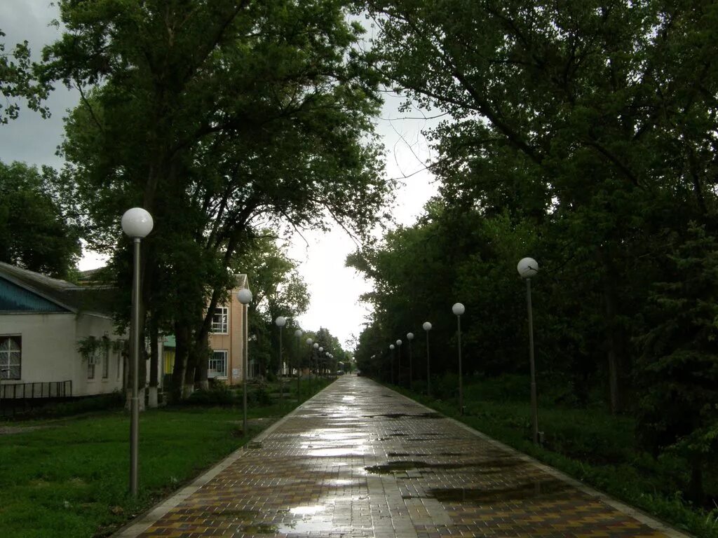 Завтра в целине. Поселок Целина парк. Целина Ростовская область. Целинский район Ростовской области. Поселок Целина Целинский район Ростовская область.