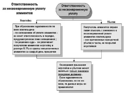 Срок выплаты алиментов после зарплаты
