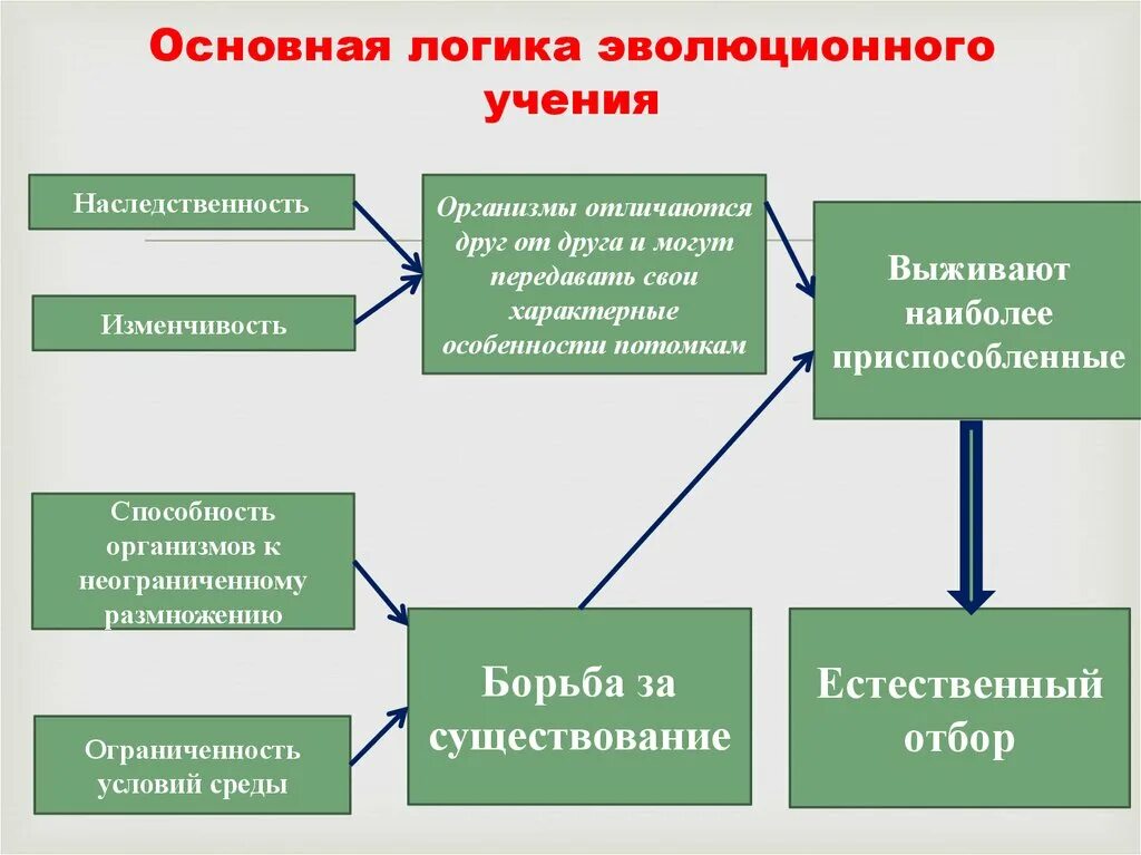 Теория дарвина движущие силы. Основная логика эволюционного учения. Основная логика эволюционного учения схема. Адаптация движущая сила эволюции. Взаимосвязь наследственности и изменчивости.