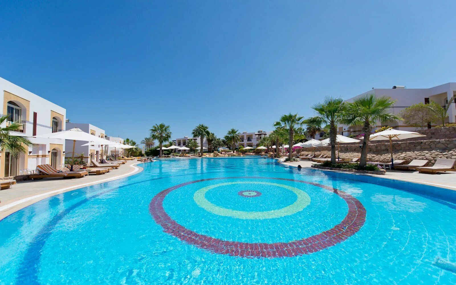 Отель АЛОХА Египет Шарм Эль. Aloha Sharm Hotel 4*+Шарм Эль Шейх. Otium Park Amphoras Blu Resort 4. Отель Шорес АЛОХА Египет.